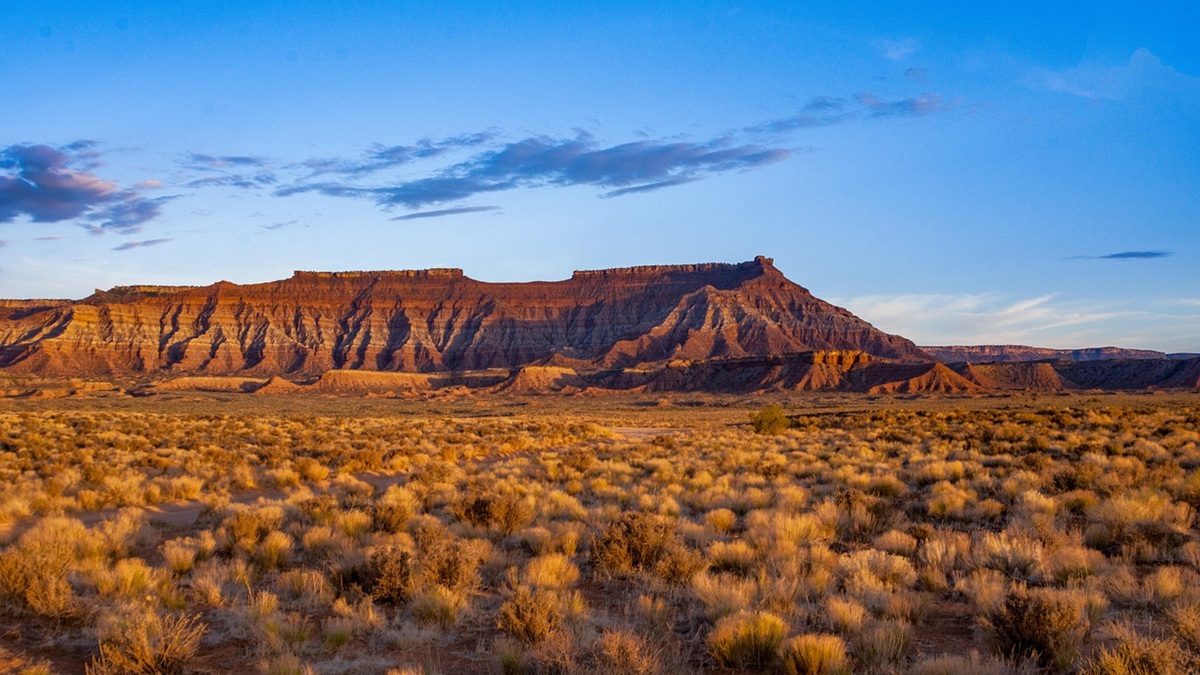 Un estudio internacional publicado hoy en ‘Science’ muestra que la cada vez mayor duración e intensidad de las sequías limita la capacidad de la vegetación para almacenar carbono y amenaza actividades como la ganadería y la agricultura Las sequías prolongadas y extremas ponen en peligro la capacidad de pastizales y matorrales para almacenar carbono.jpg
